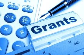 Types of Government Grants